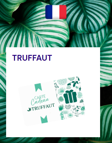 carte Truffaut